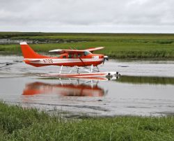 Floatplane taxing down Kashunuk River Image