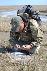 Avian Influenza Sampling Project 2006 Image