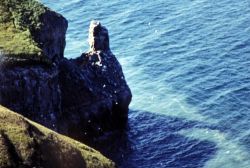 Cape Thompson, 1991 Image