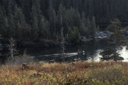 Afognak Island, setting SCUBA transects, 1987 Image