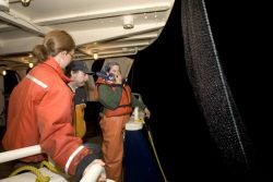 Forage fish research Shumagin Islands Image