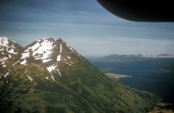 Kodiak Image