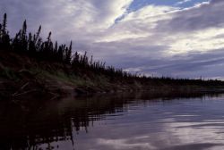 Riverbank Landscape Image