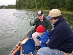 First Fish In The Net Image