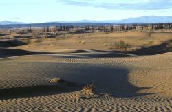 Nogahabara Sand Dunes Image