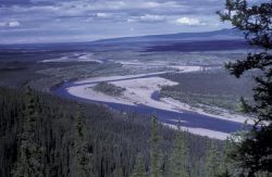 Coleen River Image