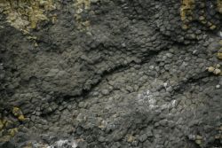 Akun columnar basalt formation Image