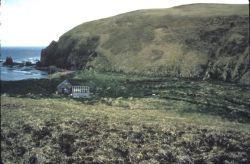 Agattu Island, Aga Cove Cabins,1985 Image