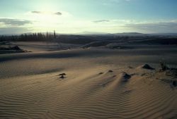 Nogahabara Sand Dunes Image