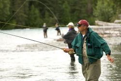 Fly Fisherman Image