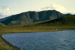 Noatak River in Summer Image