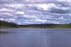 Nowitna River in Summer Image