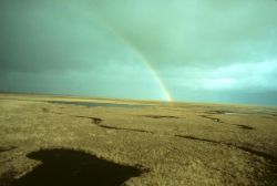 Yukon Delta NWR Summer Rainbow Image
