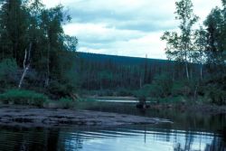 Kanuti Refuge Lake Image