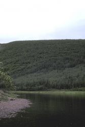 Nowitna River in Summer Image