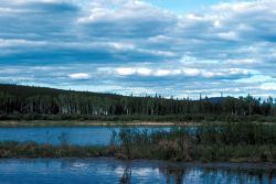 Kanuti Refuge Landscape Image