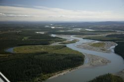 Koyukuk River on the Kanuti NWR Image