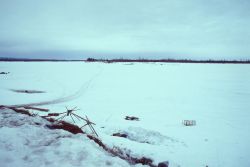 Allakaket and Koyukuk River Image