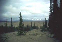 Nogahabara Sand Dunes Image