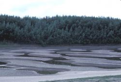 Koyukuk River Sandbars Photo