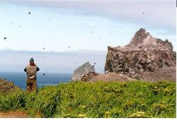 Bogoslof Island, looking East Image