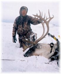 Bow Hunting Caribou Image