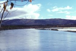 Tanana River Image