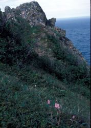 Besboro Island terrain , Noton sound Image