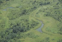 Togiak NWR 007 Image