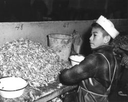 Boy Working in Fish House, Petersburg Image