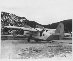 Grumman Goose N741 Image