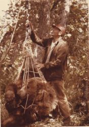 Biologist Weighing Bear Image