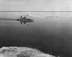 Kayaking Along Arctic Coast Image