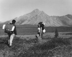 Hiking in Tundra Image