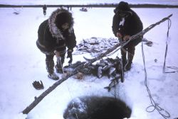 Subsistence Ice Fishing Image