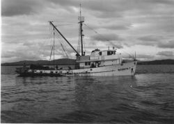 Fishing, Bering Sea Image