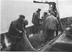 Fishing, Bering Sea Image