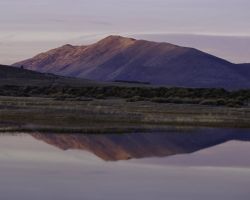 Lower Klamath NWR, California Image