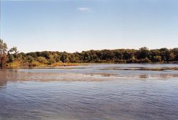 Hennepin Marsh South Coastline at Detroit River International Wildlife Refuge Image