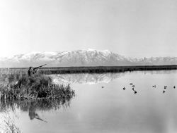 Waterfowl Hunting at Bear River Migratory Bird Refuge Photo