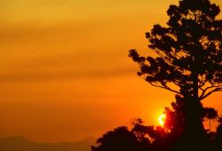 Lamington National Park, Image