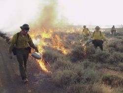 r8-ca-clr-burnout on wildfire Image