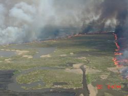 r2-tx-mcr-marsh prescribed burn Image