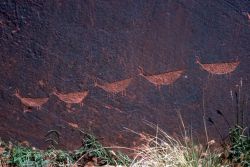 Petroglyphs Image