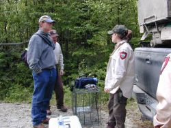 WOE235 Discuss capture of Canada Lynx Image