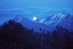 Yukon Night Image