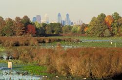 Fall Scene Image