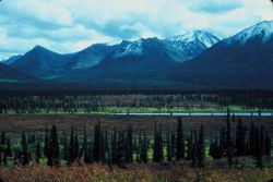 Central Alaska Image