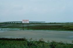 Commercial Development Coastal Wetlands Image