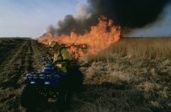 Conducting Prescribed Burn Image